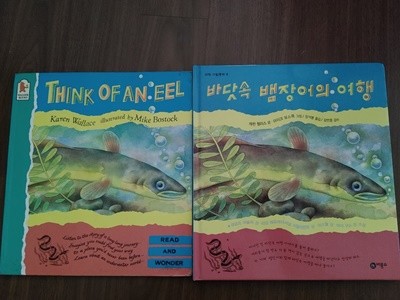 [원서+번역서] Think of an eel 바닷속 뱀장어의 여행 - 캐런 윌리스 글+마이크 보스톡