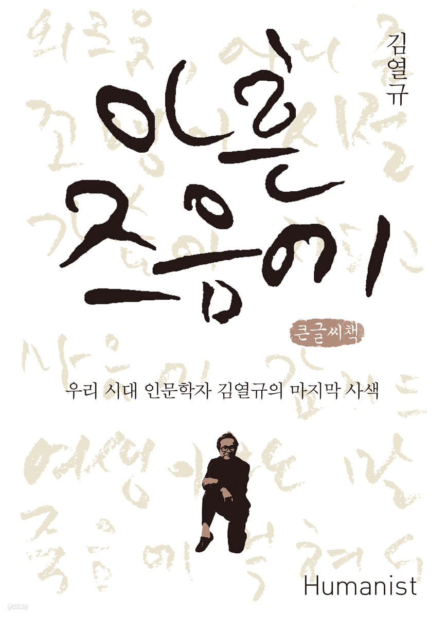 아흔 즈음에 (큰글씨책)