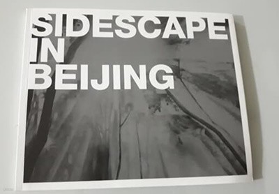 SIDE SCAPE IN BEIJING 2010 홍순명 개인전 도록