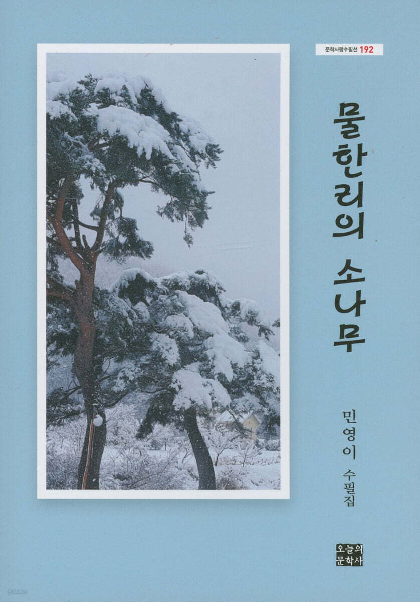 물한리의 소나무