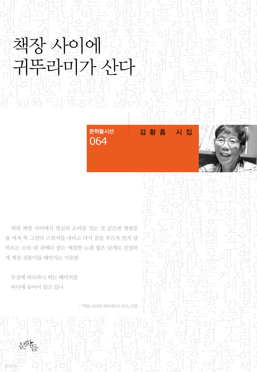 책장 사이에 귀뚜라미가 산다