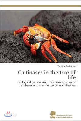 Chitinases in the tree of life