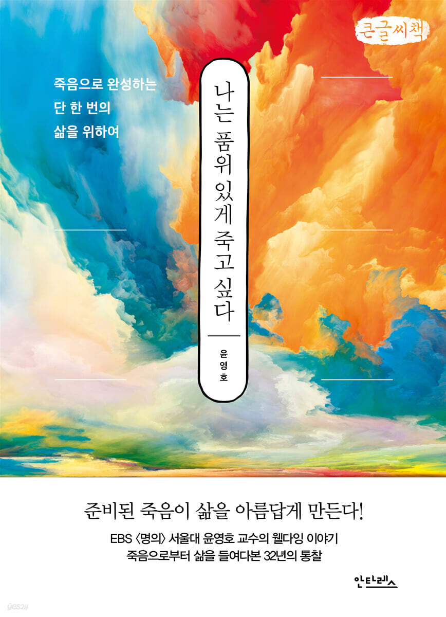 나는 품위 있게 죽고 싶다 (큰글씨책)