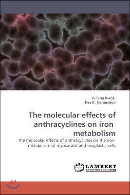 The molecular effects of anthracyclines on iron metabolism