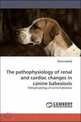 The pathophysiology of renal and cardiac changes in canine babesiosis