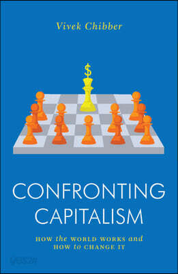Confronting Capitalism: How the World Works and How to Change It