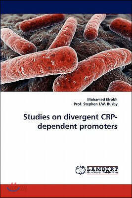 Studies on divergent CRP-dependent promoters