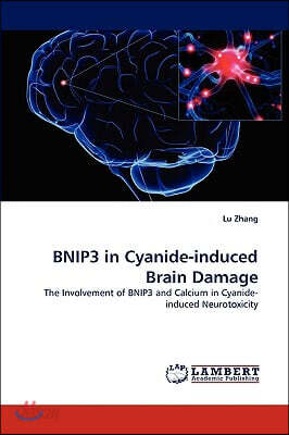 BNIP3 in Cyanide-induced Brain Damage