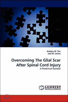 Overcoming The Glial Scar After Spinal Cord Injury