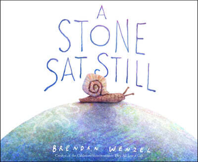 A Stone Sat Still