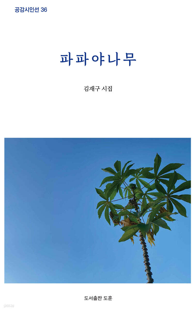 파파야나무