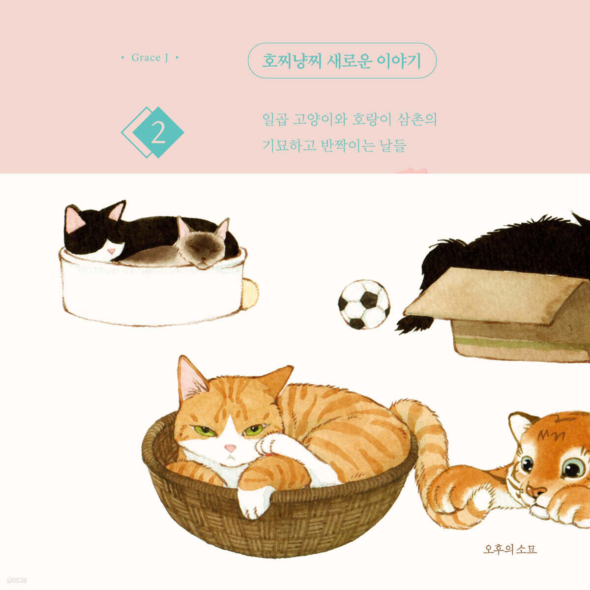 호찌냥찌 새로운 이야기 2