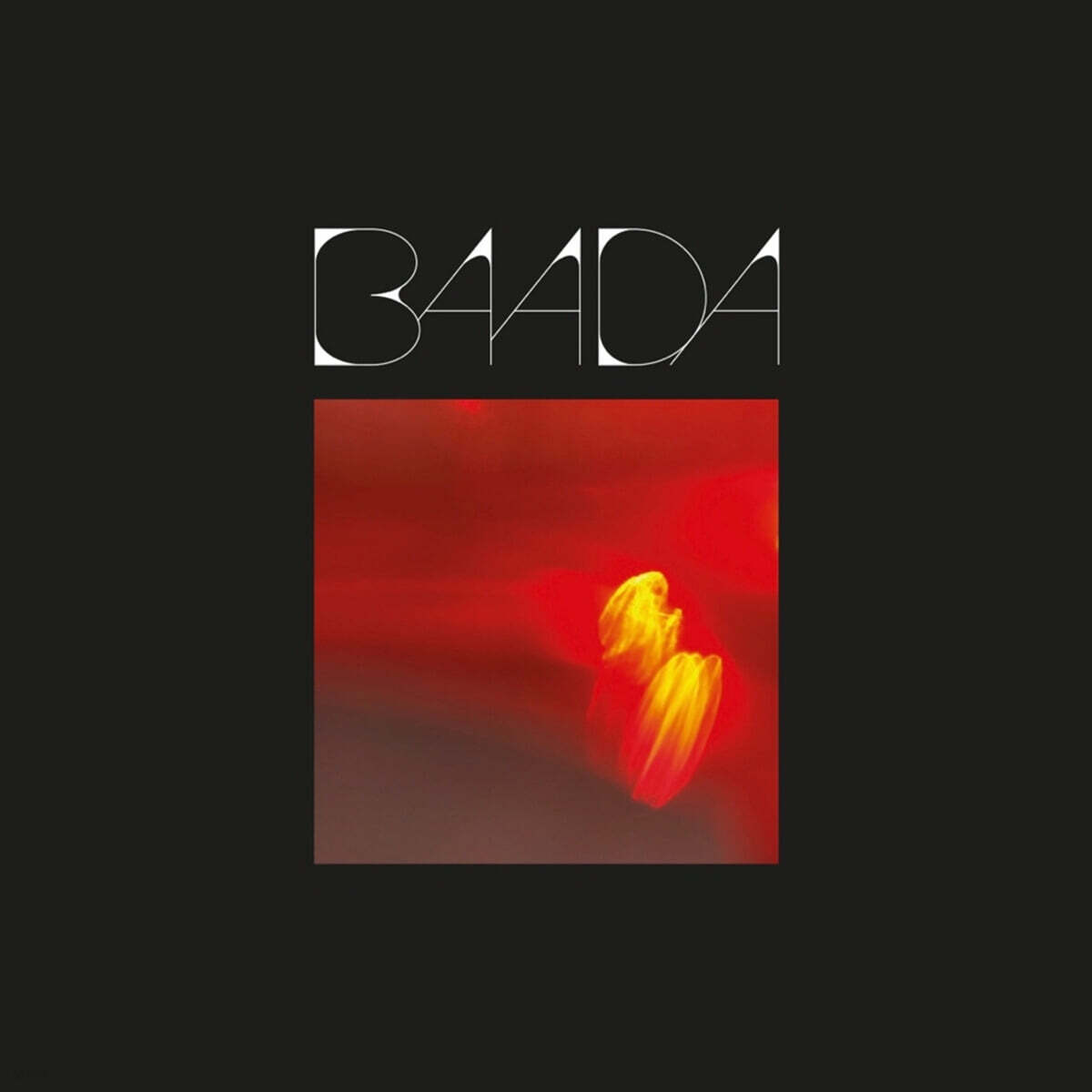 BAADA (바다) - 1집 STARDUST [불투명 레드 컬러 LP + 7인치 Vinyl]