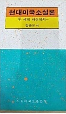 현대미국소설론 - 두 세계 사이에서 (1992 초판)