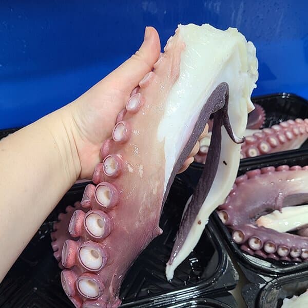 동해안 대왕피문어 머리와 다리 소분판매 실량2kg