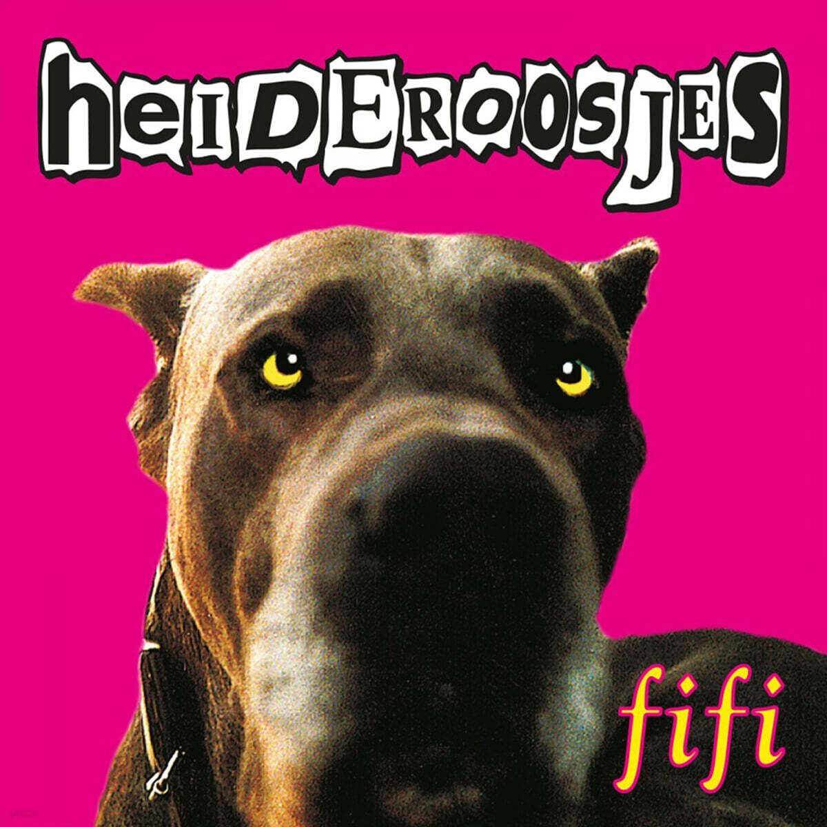 Heideroosjes (하이더로셔스) - 3집 Fifi [LP]