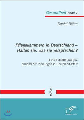 Pflegekammern in Deutschland - Halten sie, was sie versprechen? Eine aktuelle Analyse anhand der Planungen in Rheinland-Pfalz