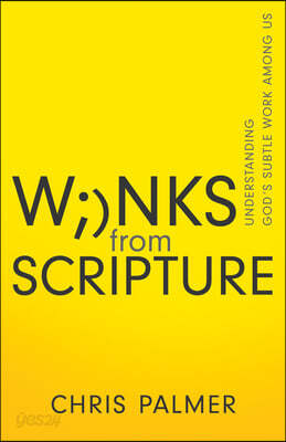 Winks from Scripture: Understanding God's Subtle Work Among Us