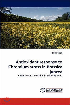 Antioxidant response to Chromium stress in Brassica juncea