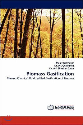 Biomass Gasification