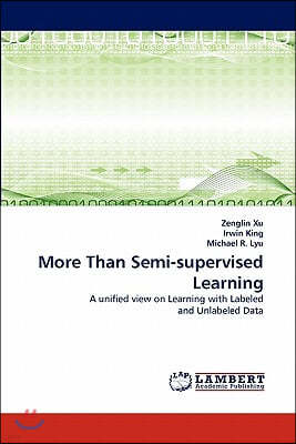 More Than Semi-Supervised Learning