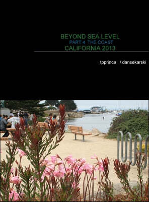 Beyond Sea Level Part 4 the Coast California 2013