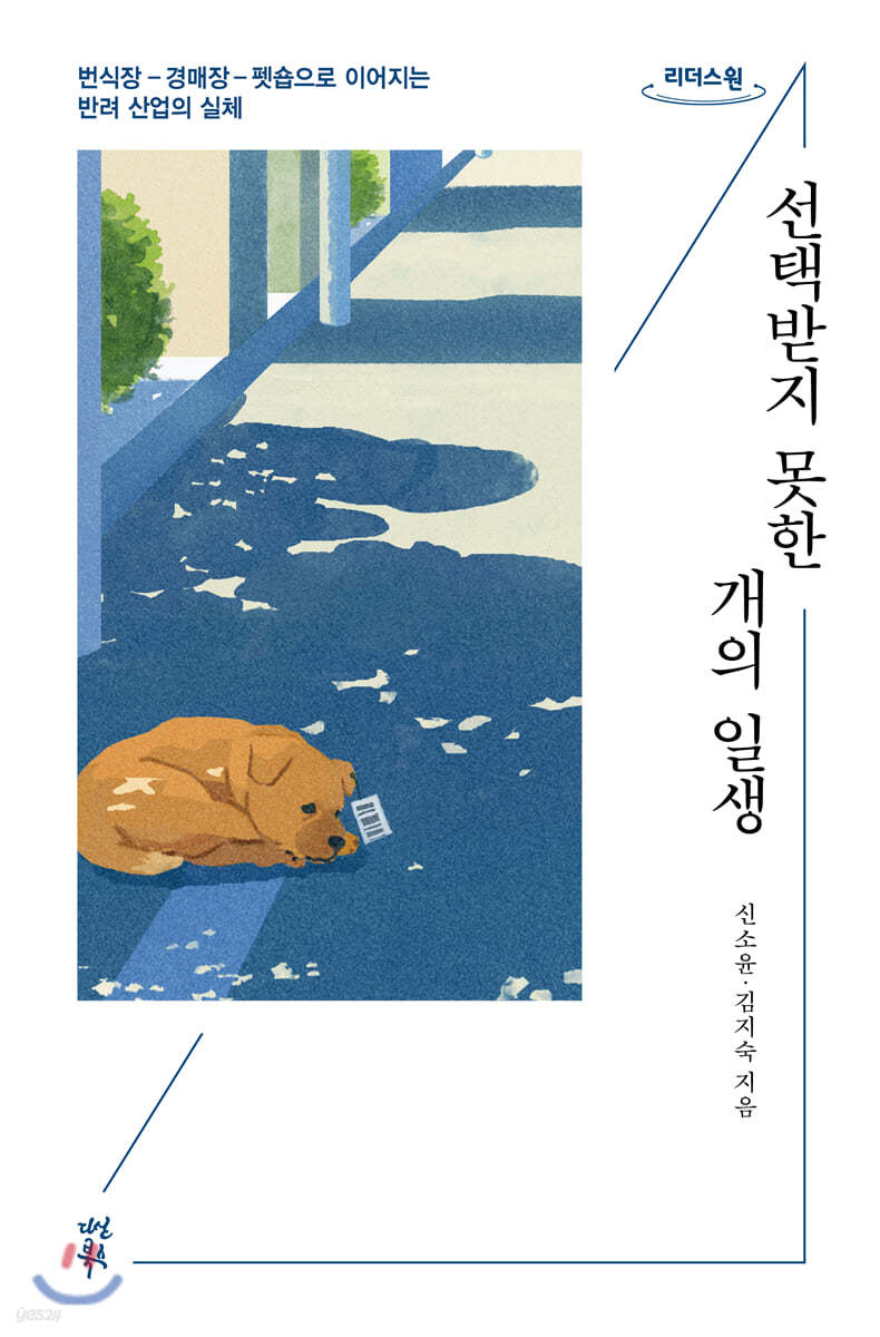 선택받지 못한 개의 일생 (큰글자도서)