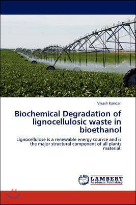 Biochemical Degradation of Lignocellulosic Waste in Bioethanol