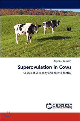 Superovulation in Cows