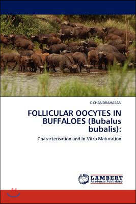 FOLLICULAR OOCYTES IN BUFFALOES (Bubalus bubalis)