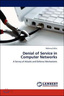 Denial of Service in Computer Networks