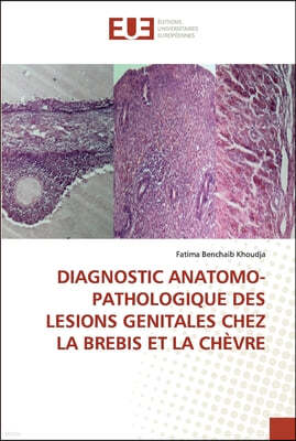 Diagnostic Anatomo-Pathologique Des Lesions Genitales Chez La Brebis Et La Chevre