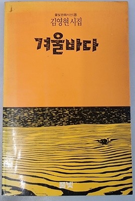 겨울바다 - 풀빛판화시선 28 김영현시집