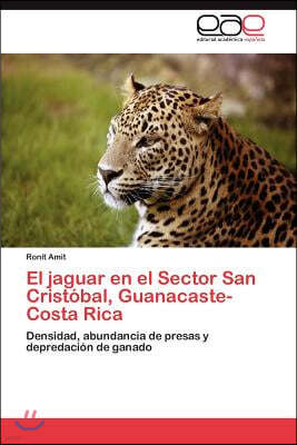 El jaguar en el Sector San Cristobal, Guanacaste-Costa Rica