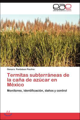 Termitas Subterraneas de La Cana de Azucar En Mexico