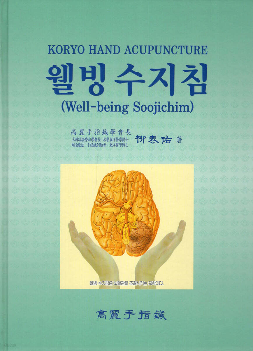 웰빙 수지침