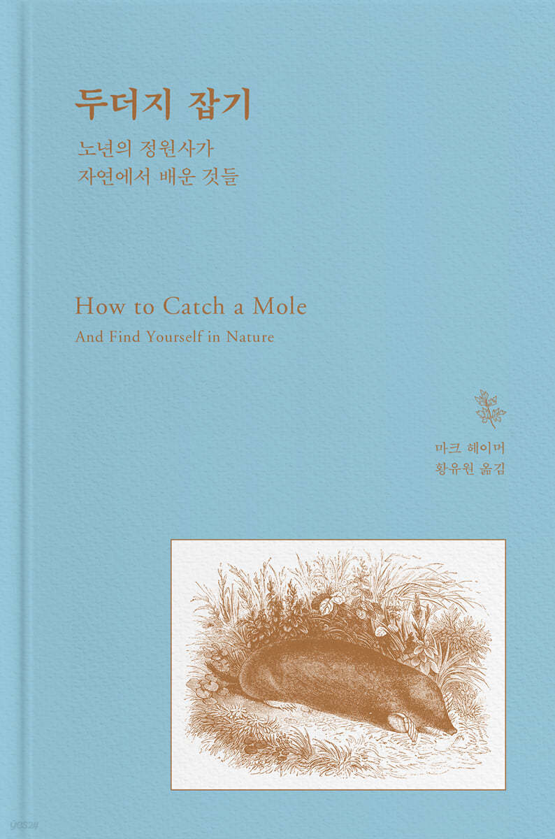 두더지 잡기