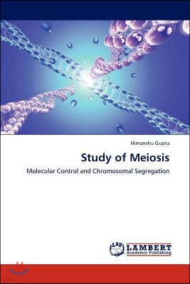 Study of Meiosis