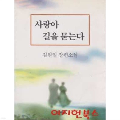 사랑아 길을 묻는다 : 김원일 장편소설