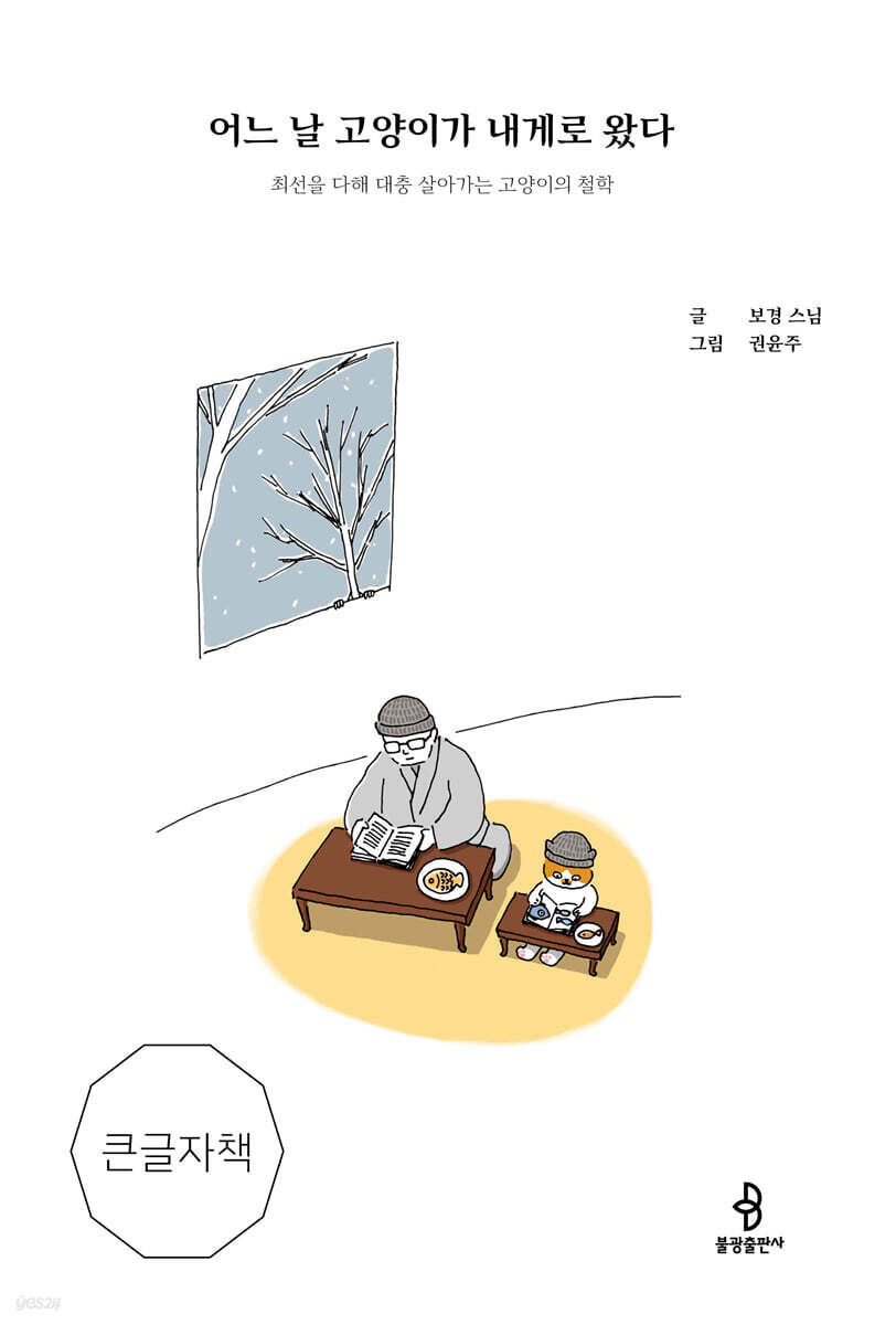 어느 날 고양이가 내게로 왔다 (큰글자책)