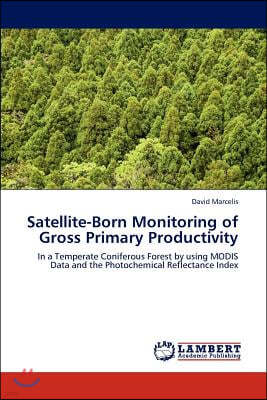 Satellite-Born Monitoring of Gross Primary Productivity