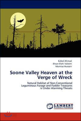 Soone Valley Heaven at the Verge of Wreck