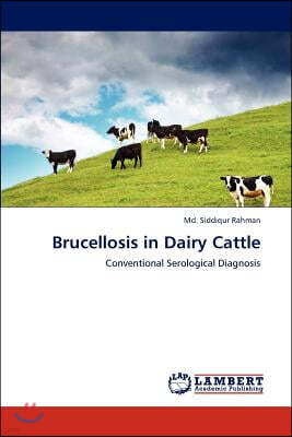 Brucellosis in Dairy Cattle