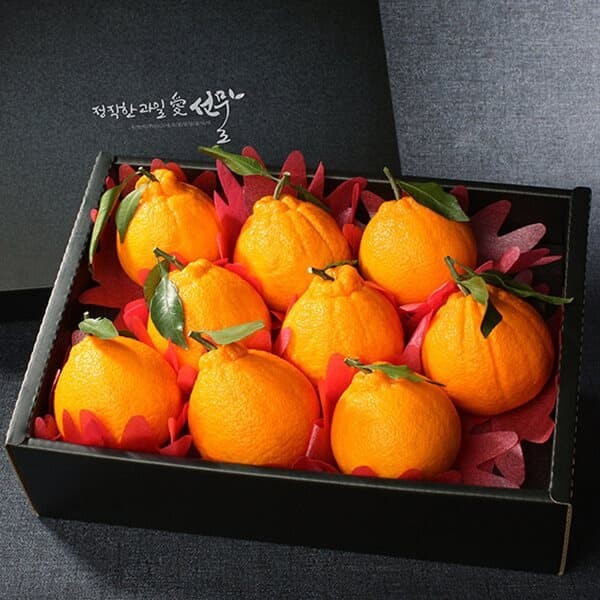 [과일愛]달콤가득 과일 선물세트 제주 한라봉 1호 (9~10과) 3kg