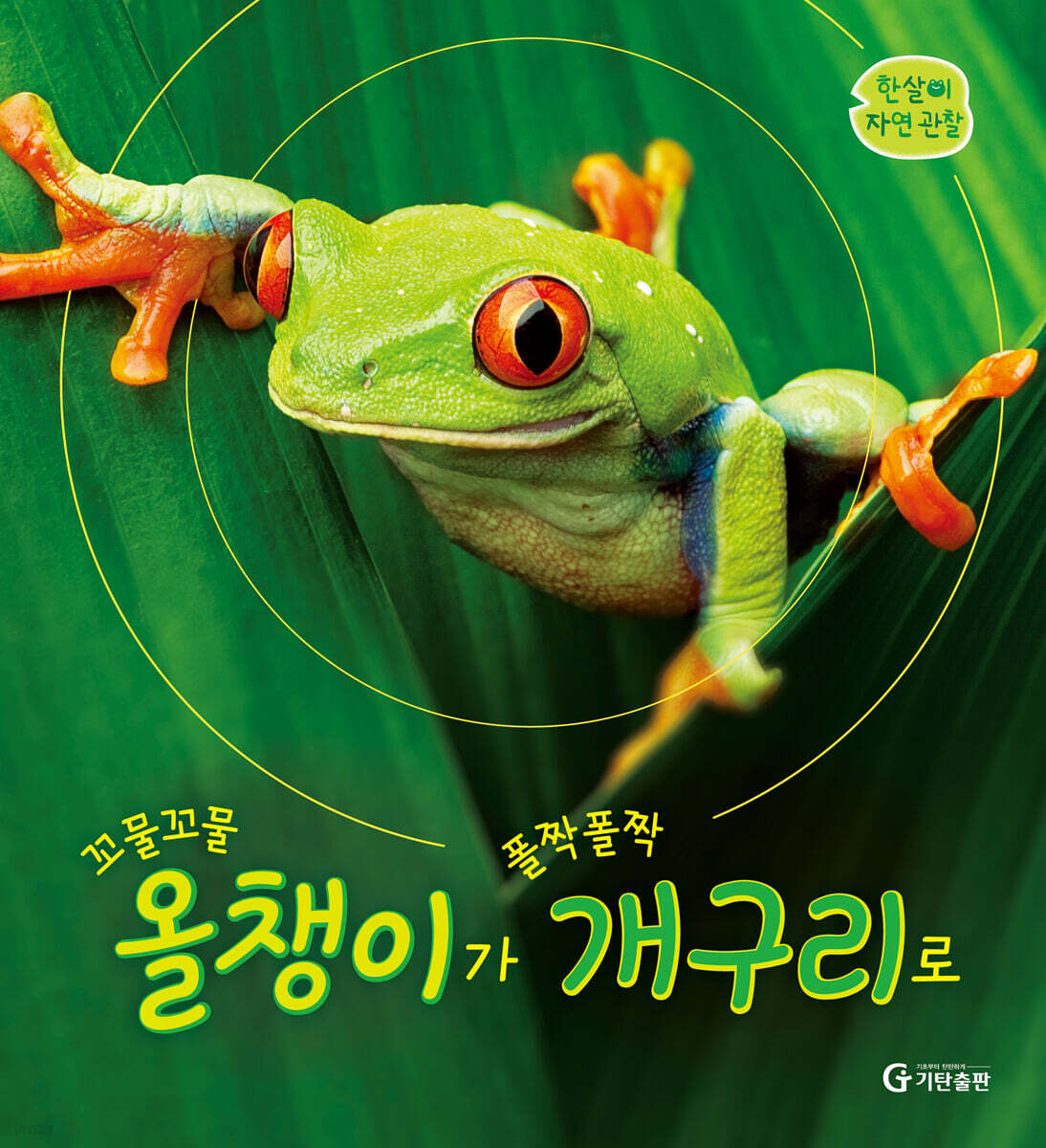 꼬물꼬물 올챙이가 폴짝폴짝 개구리로