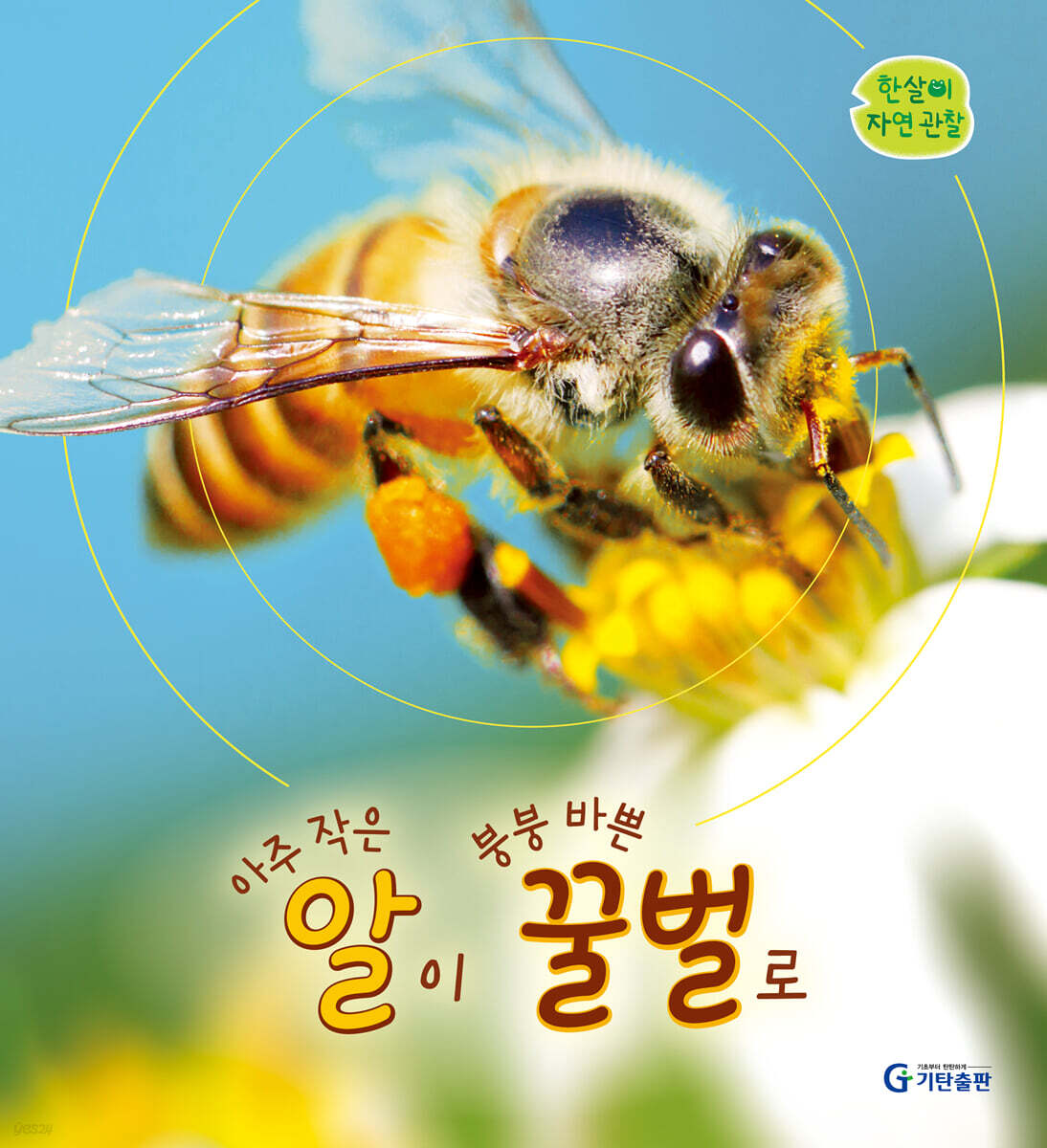 아주 작은 알이 붕붕 바쁜 꿀벌로