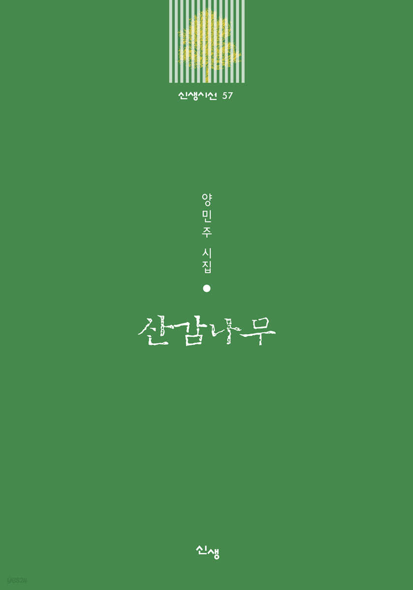 산감나무