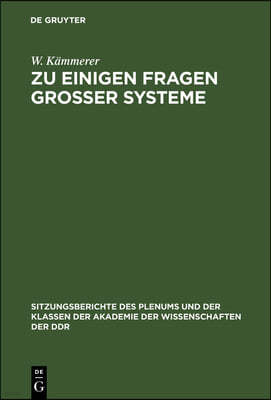 Zu Einigen Fragen Großer Systeme