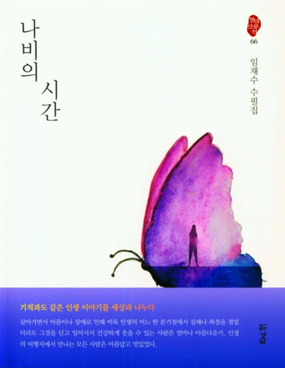 나비의 시간