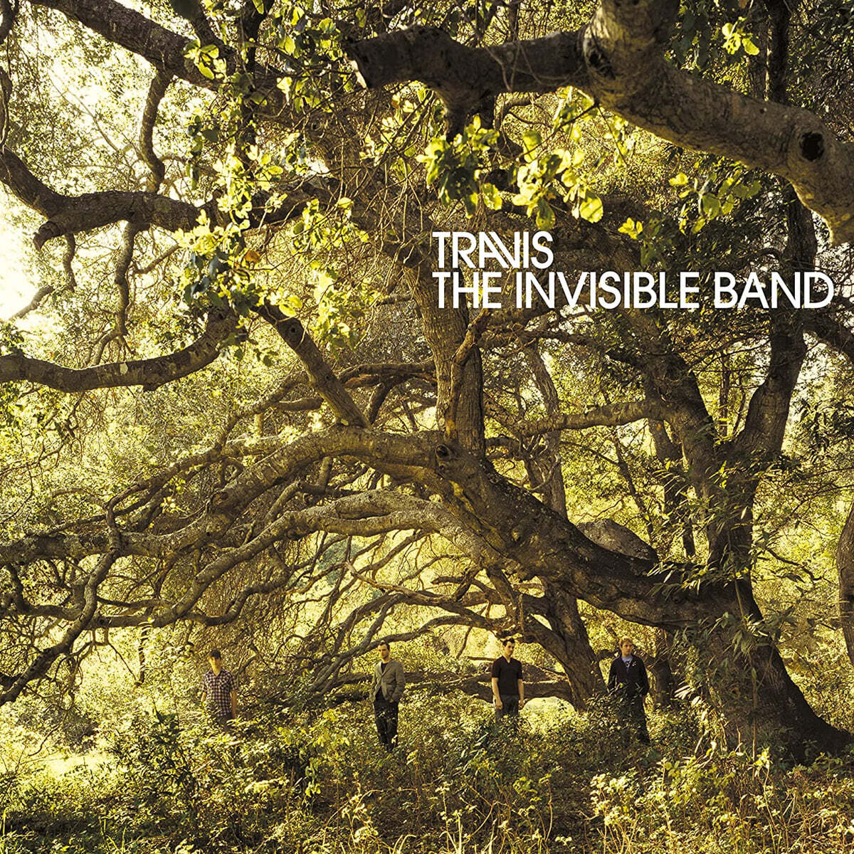Travis (트래비스) - The Invisible Band [포레스트 그린 컬러 LP]